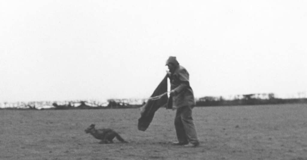 Black and white photo showing a fox running from a man that's just released it from a bag