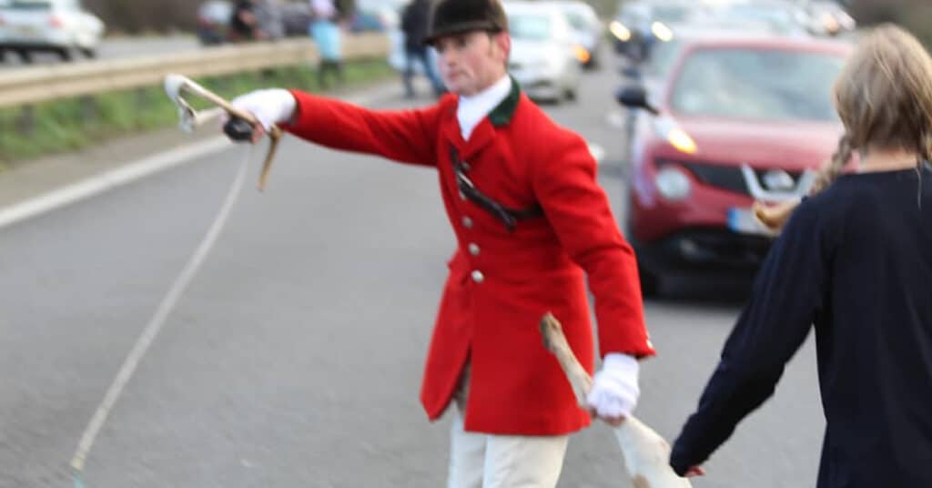 Hunt whipper-in holds a dead hound by the leg on a busy road, with traffic in the background.
