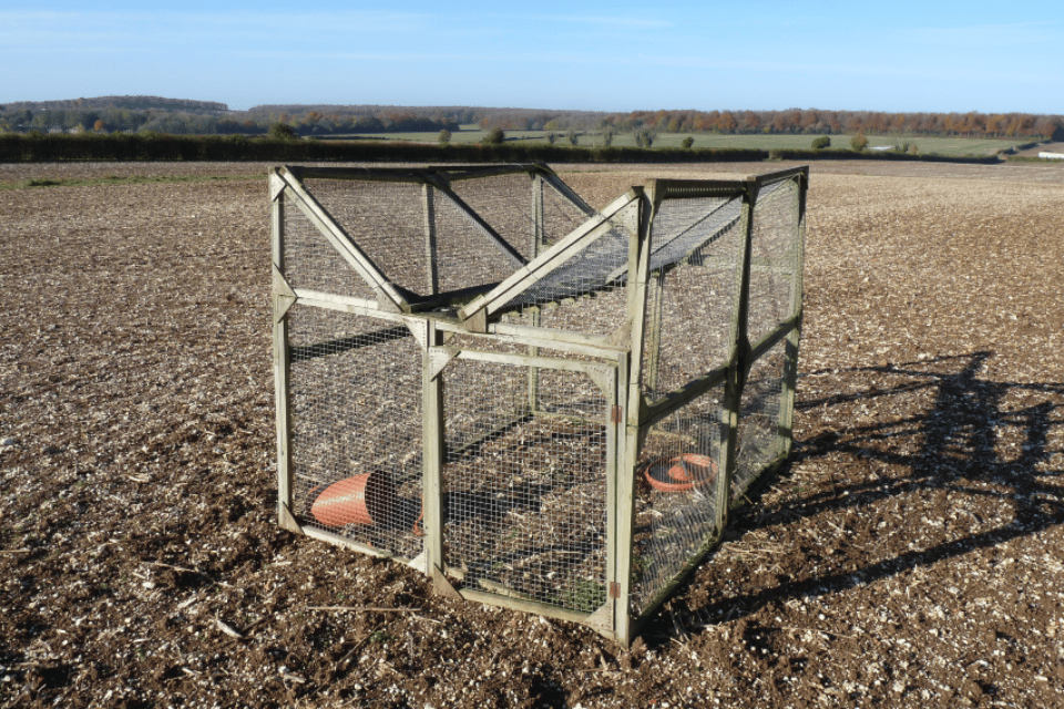 https://protectthewild.org.uk/wp-content/uploads/2023/01/Walk-in-multi-catch-cage-trap.png