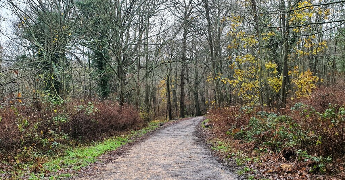 Friday Woods, Berechurch, Essex.