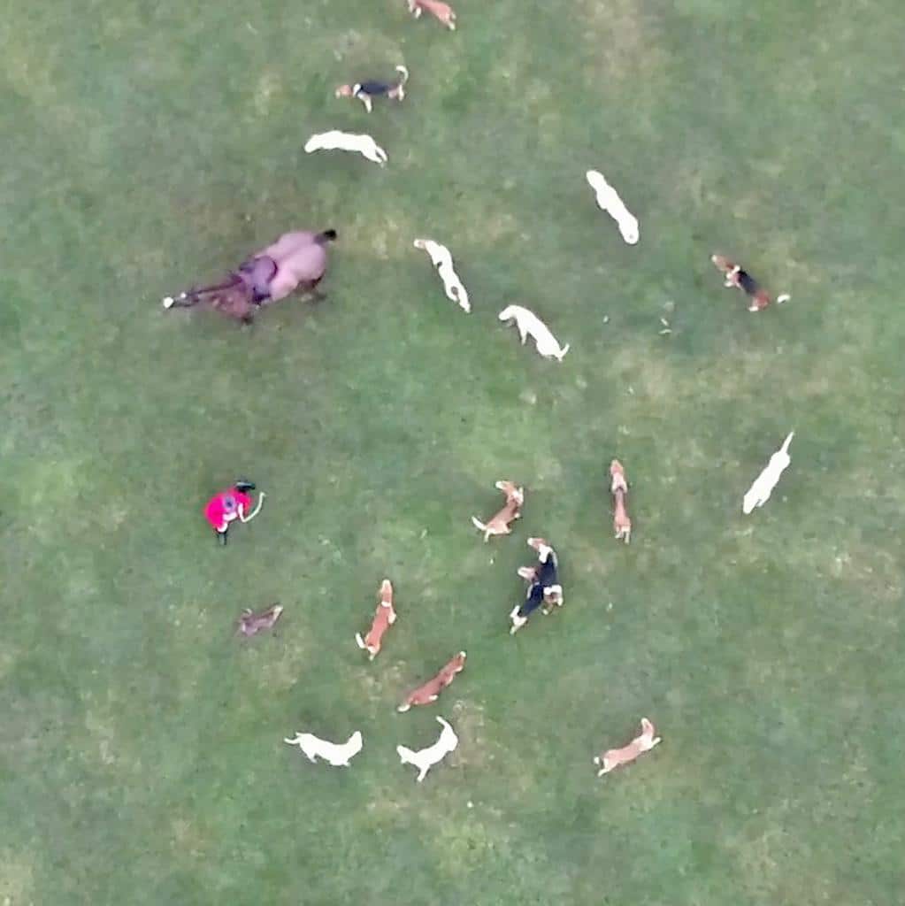 Aerial view of Cheshire Hunt hunting a fox