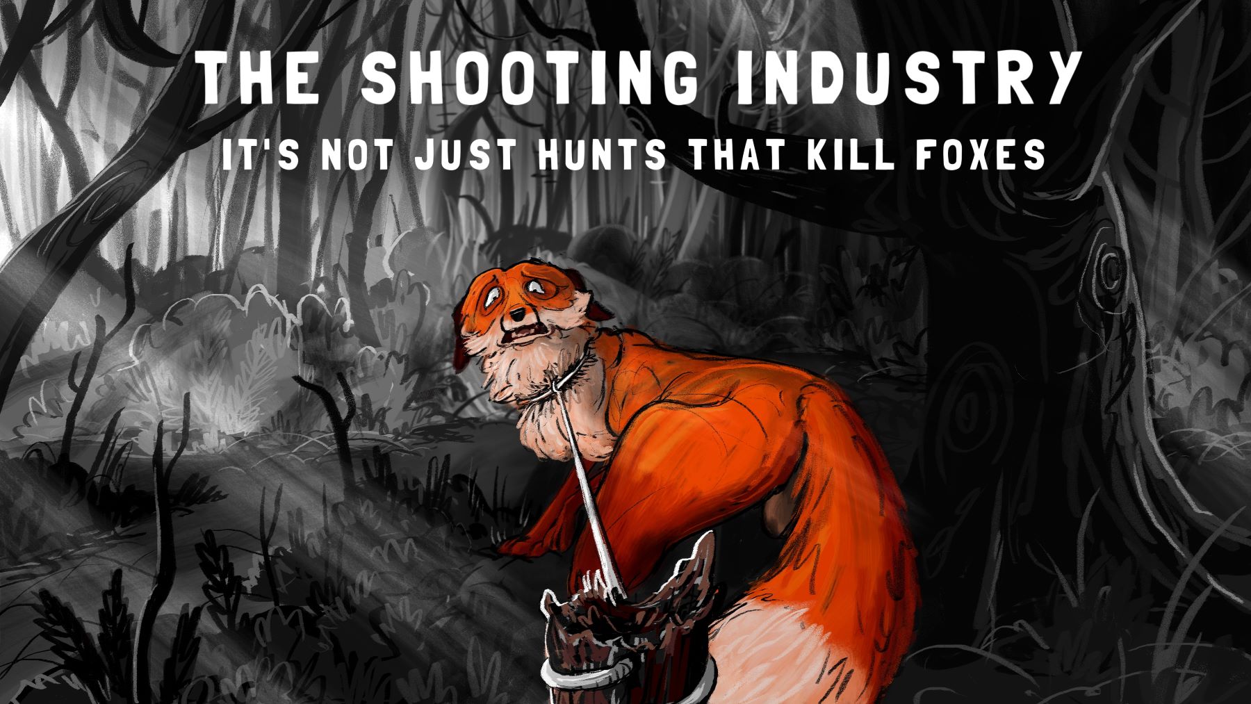 "The Shooting Industry: it's not just hunts that kill foxes" - Protect