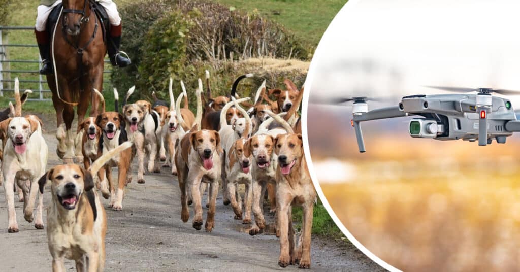 Foxhounds on a road with image of drone superimposed