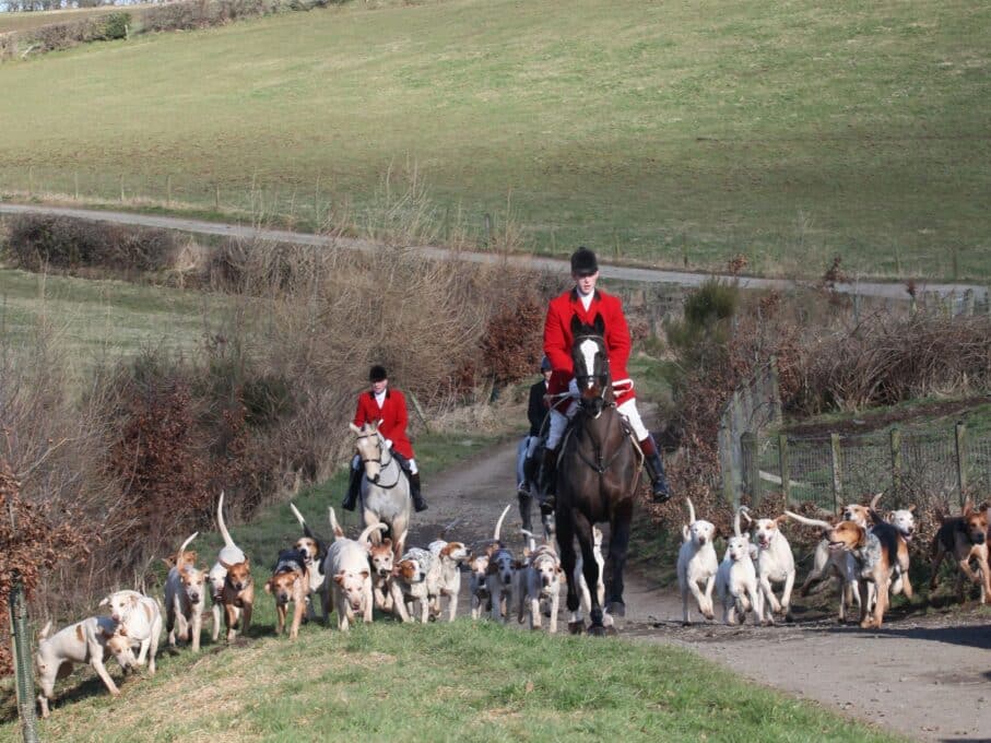 lanarkshire & renfrewshire foxhounds