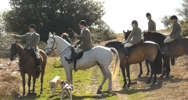 Quantock stag hounds plots to kill stag