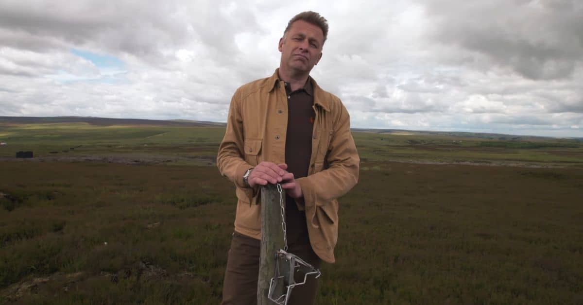 Chris Packham on a grouse moor with a spring trap