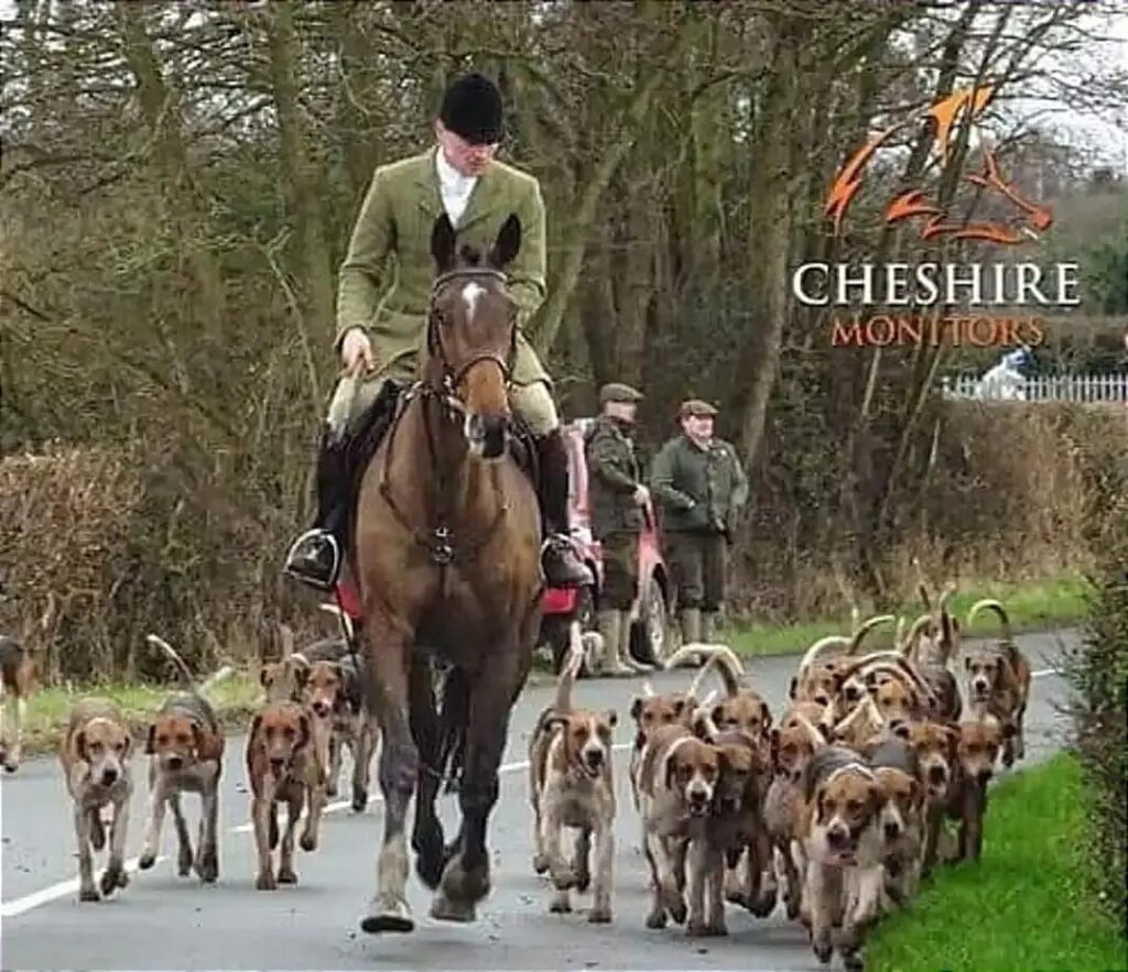 Chris Woodward when he was huntsman with the Wynnstay Hunt