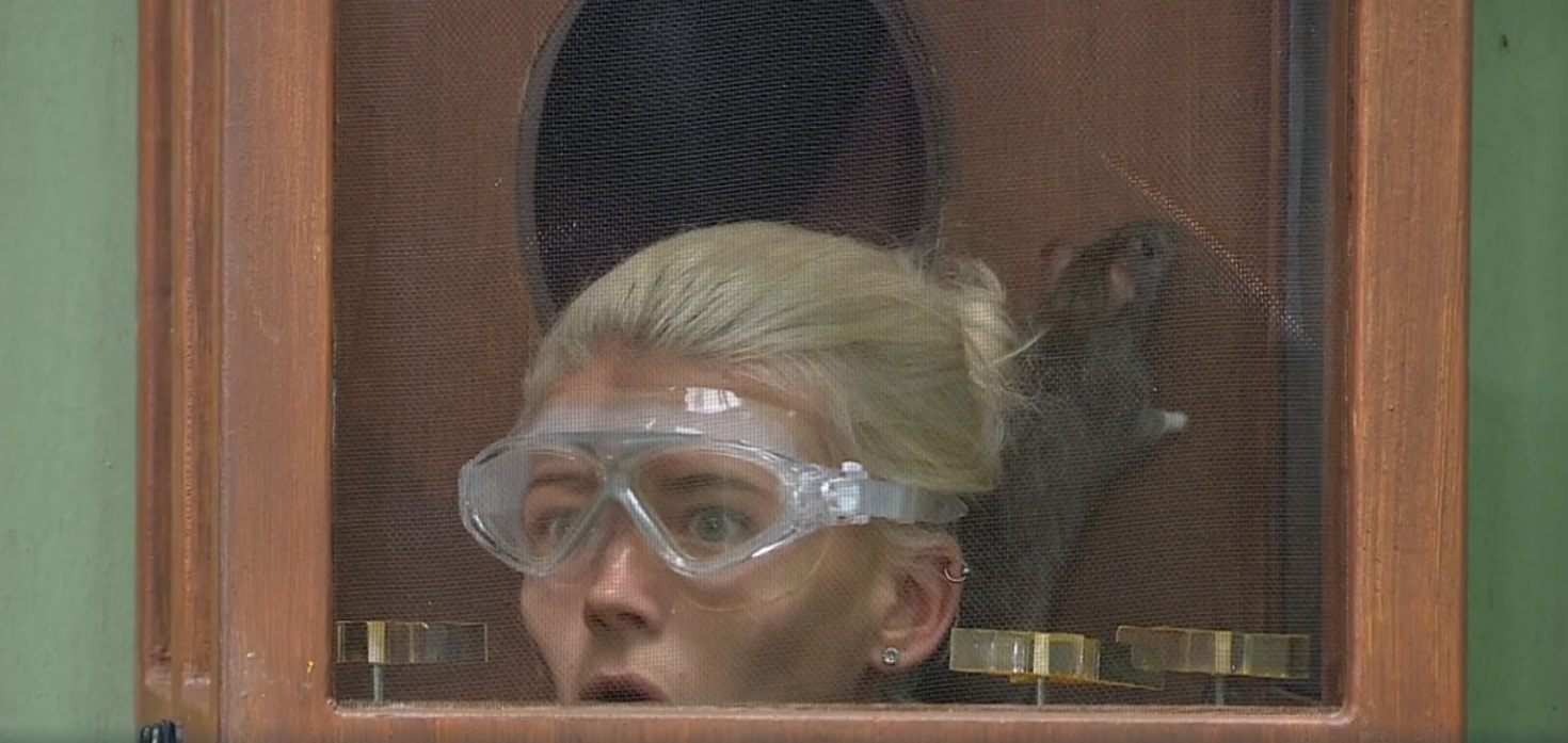 A trapped rat tries to escape on I'm A Celebrity's 30 November 2023 show