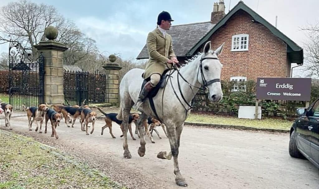 The Wynnstay Hunt comes out of National Trust land