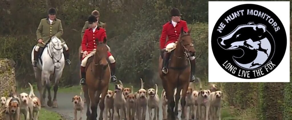 Illegal fox hunting and North East Hunt Monitors