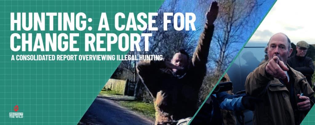 violence in hunting protect the wild report