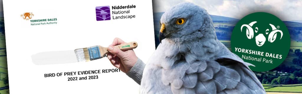 Yorkshire Dales National Park is a raptor persecution hot spot