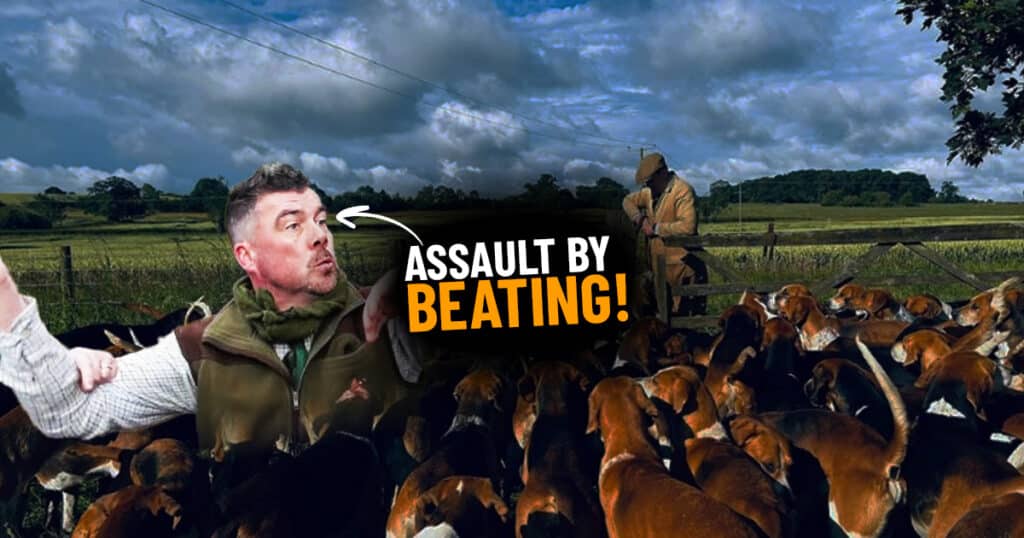 Marc Birney assault header image