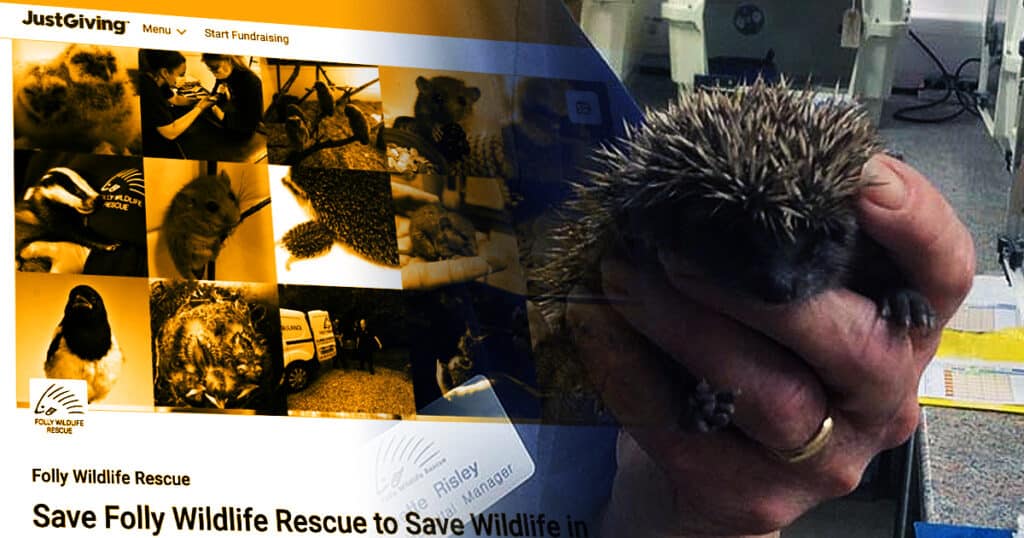 folly wildlife rescue appeal