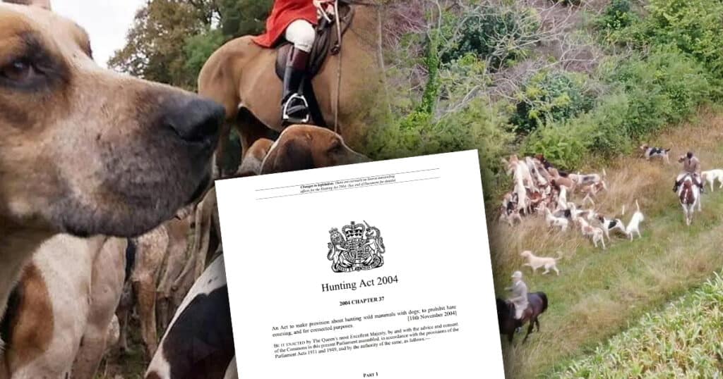 portman hunt hunting act convictions