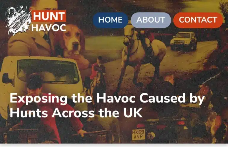 hunt havoc banner image