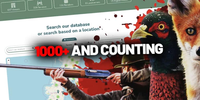 1000 kstings blood business may 2025