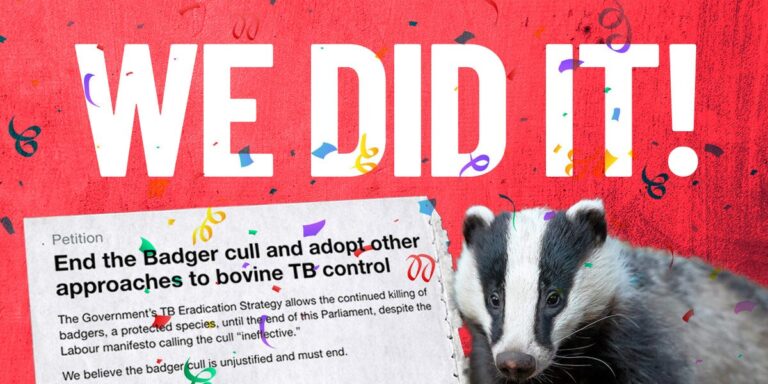 100k badger petition banner may 2025
