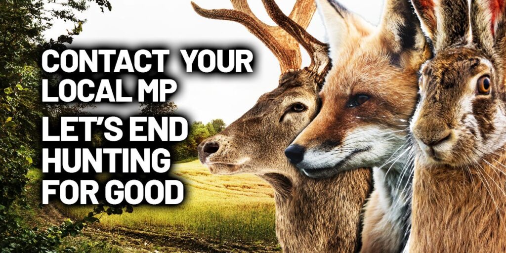 contact MP end hunting for good May 2025