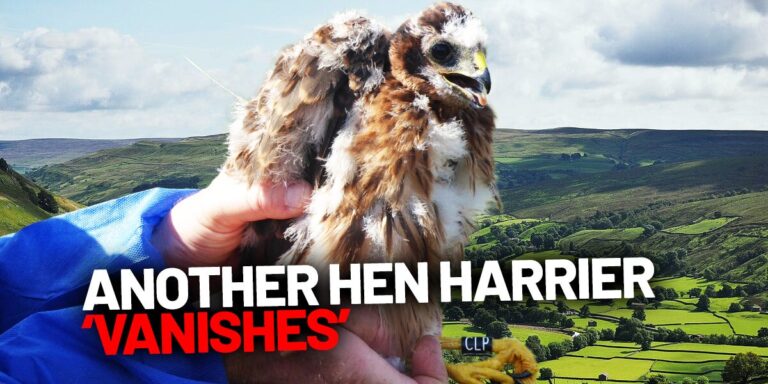 sita vanishes yorkshire dales may 2025