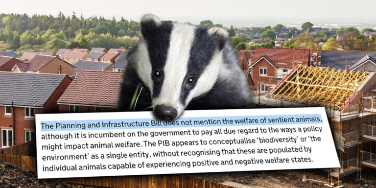 animal sentence committee June 2025
