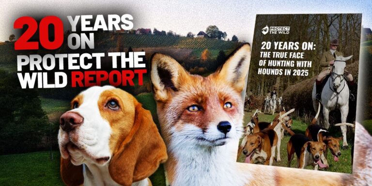 hunting report 2024 june 2025