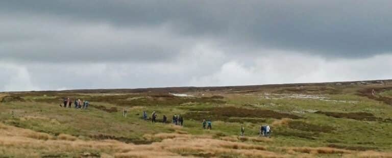moscar moor long view june 2025