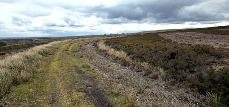 Moscar Moor June 2025