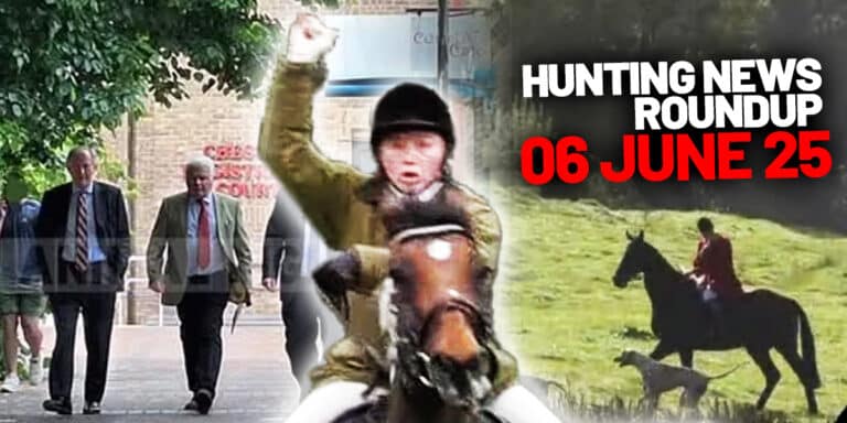 hunting round up 06 june 2025