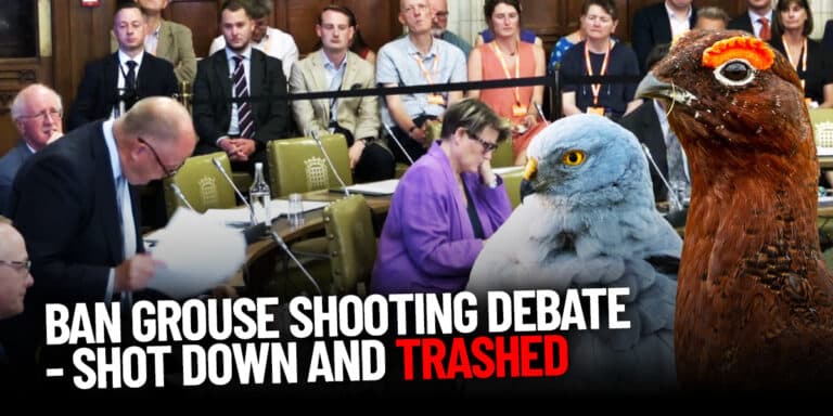 Ban goruse moor parliamentary debate june 2025