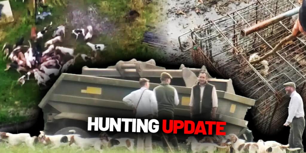 hunting update late july 2025