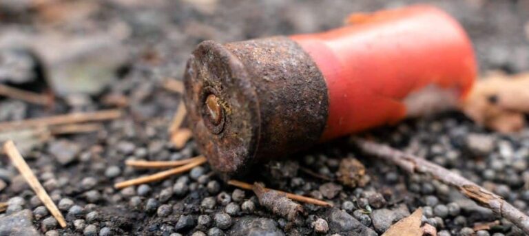 shotgun cartridge and lead shot july 2025