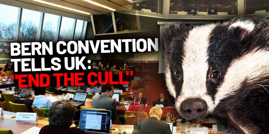 bern civention UK end cull august 2025