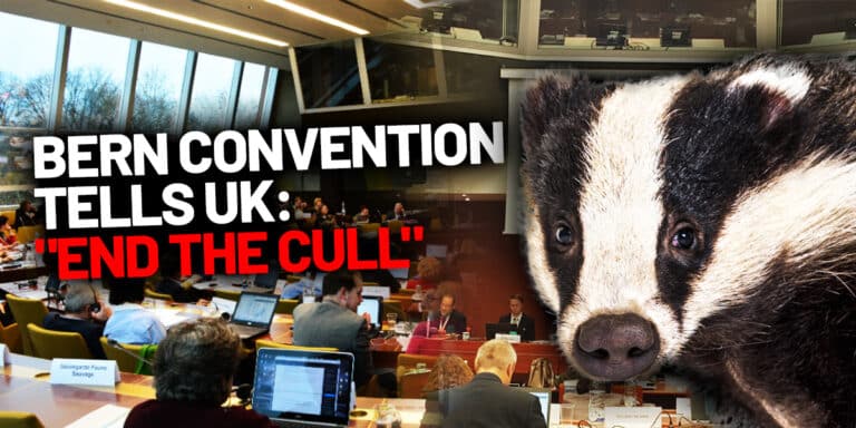 bern civention UK end cull august 2025