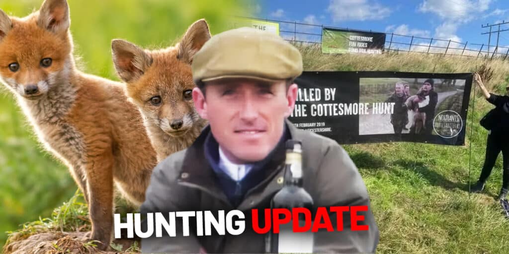hunting update mid august 2025