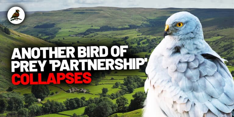 Yorkshire Dales partnership collapse august 2025