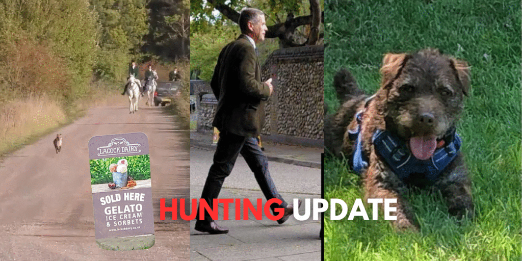 Mid September Hunting news Update