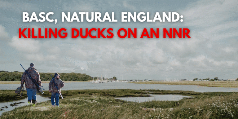 BASC, NATURAL ENGLAND KILLING DUCKS ON AN NNR