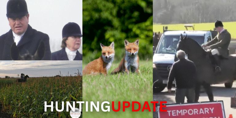 HUNTING UPDATE SEPT 2025
