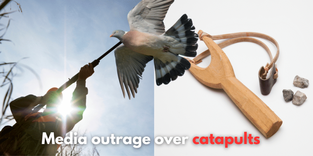Media outrage over catapults
