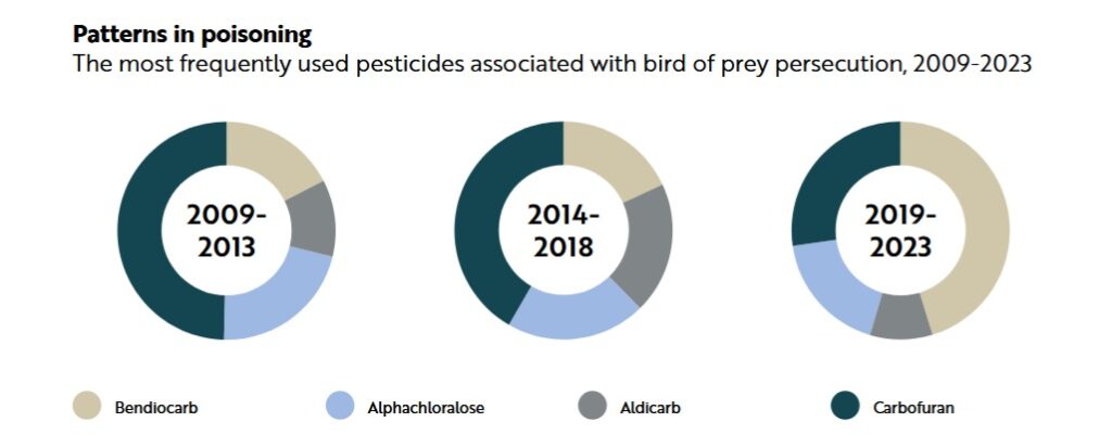 patterns in poisoning RSPB Birdcrime 2024