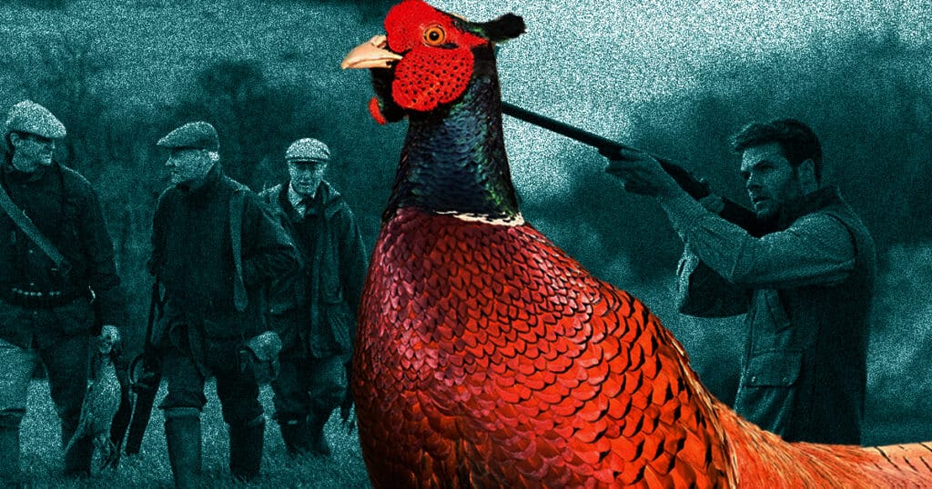 pheasant shooting conholt park wiltshire