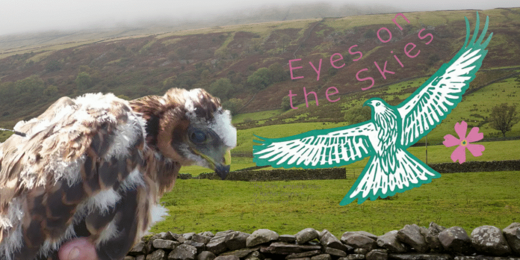 Yorkshire Dales eyes on the skies