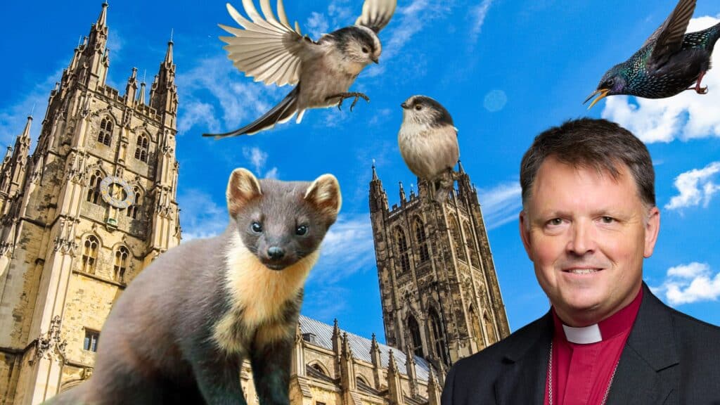 CofE votes against rewildling July 2026